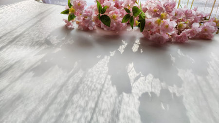A branch with pink cherry blossom flowers on a white background. Texture, frame, copy space, backgroundの写真素材