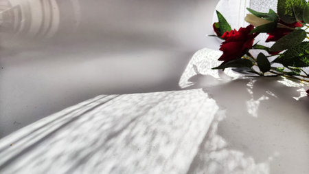Background and texture with beautiful white and red roses with light and shadow from sun. Abstract cart with frame framed with roses, copy space and place for text. Concept of gifts, beauty, holidayの写真素材