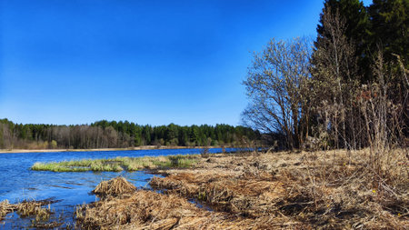Landscape and nature with calm water of big lake, trees on the shore and blue sky on autumn or...