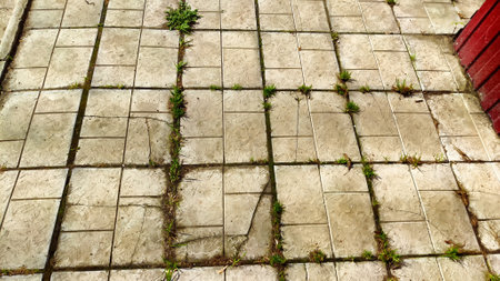 Rows and lines of square sidewalk gray tiles on floor outside or indoors. street path. Abstract background, texture, pattern, frame, space for text and copy spaceの写真素材