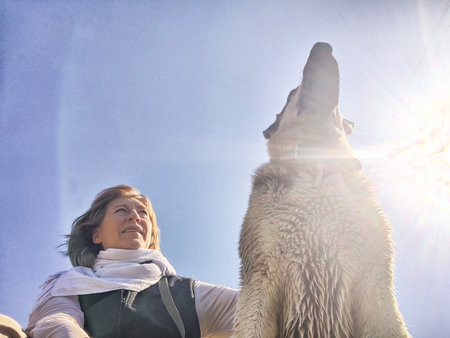 Dog German Shepherd and woman or girl in nature in summer, spring, summer sunny day. Russian eastern European dog and mistress, trainer veo outside, outdoors with ray of sun and blue sky backgroundの写真素材