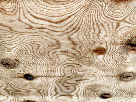 Wooden background, wood texture with circle similar to the drawing. Pattern, frame, place for text and copy spaceの写真素材