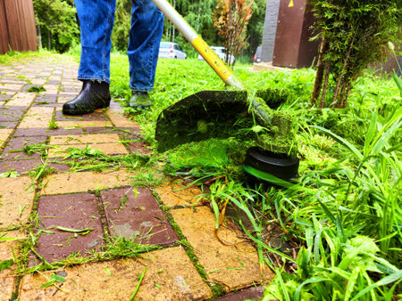 A man worker cutting green grass with a manual lawn mower in summer or spring day. The concept of...