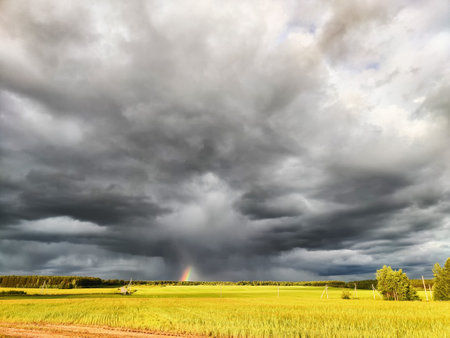 Nature landscape with gloomy stormy sky, gloomy dramatic low gray clouds and a piece of colored rainbow over a field with bright green and yellow grass on spring, autumn or summer day or eveningの写真素材