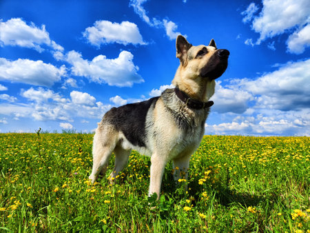 Little wooden toy ship on brown fabric background. Texture, abstract, space for text, copy space. Concept of yacht travel, boating, fishing, yachtingの写真素材