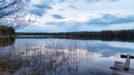 Wooden ruined pier made of old planks on the water of a lake or river and a forest far in the background. Beautiful, calm, natural landscape on a summer, spring or autumn dayの写真素材