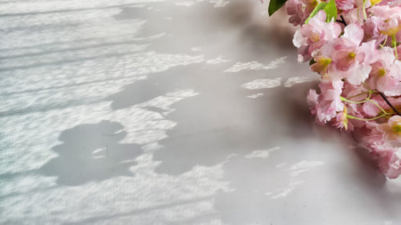 A branch with pink cherry blossom flowers on a white background. Texture, frame, copy space, backgroundの写真素材