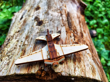 Vintage toy wooden airplane in nature. Private adventure traveling by flight. Aircraft for nature...
