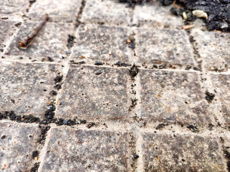 Squares in a metal grid lying on concrete, pebbles, earth. The old sidewalk or wall. Pattern of metal rods. Background, texture, frame, copy spaceの写真素材
