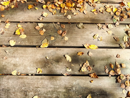 Path made of parquet boards with autumn green and yellow leaves. Background, texture, place for...