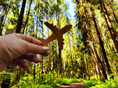 Hand holding toy wooden airplane plane and trees in forest background. The concept of flying on airplane, travel, leisure, adventure. Blurred picture, partial focusの写真素材