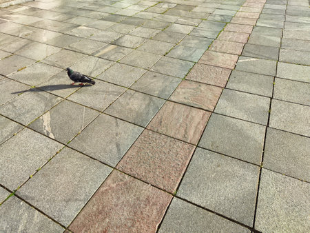 paving stone tiles of square and rectangular shape of gray in perspective. Close up road surface. Abstract Background, texture, frame, place for text and copy spaceの写真素材