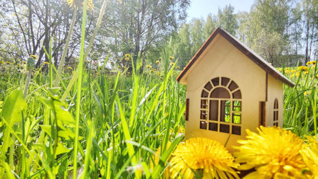 miniature toy house in grass and dandelion flowers, spring natural background. symbol of family. mortgage, construction, rental, property concept. Eco Friendly home. Blurred and selective focusの写真素材