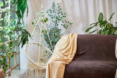 Brown sofa with beige capes in a living room with a flower and a window with curtains. Interior and Home decorの写真素材