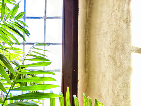 Green Hamedorea palm tree branch with leaves on windowsill in sunny day. Domestic plant. Frame,...