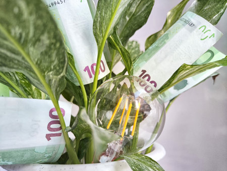 Green flower, euro paper banknotes and an energy-saving lamp. The concept of cost savings and economy, natural energy sourcesの写真素材
