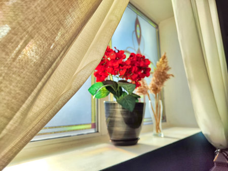 Curtains frame a sunlit window with vibrant red flowers on sill. Bright Morning Sunlight Through Window With Red Flowers. Background. Partial focusの写真素材