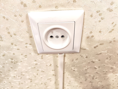 White European power outlet mounted on ornate wall. European Dual Socket on Patterned Wall