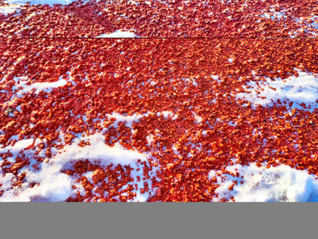 Red pebbles or rubberized textured material and white snow on it. Background, texture, frame, copy...
