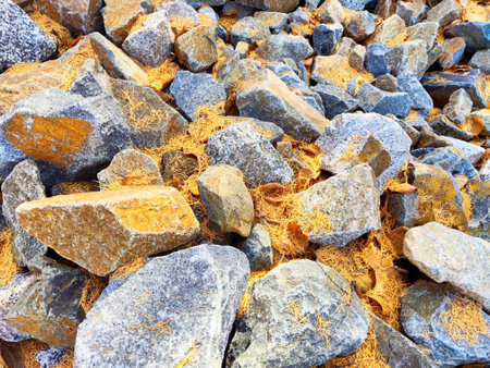 Closeup of rocks and orange dried leaves on the ground. Background, texture, frame, pattern, place for text and copy spaceの写真素材