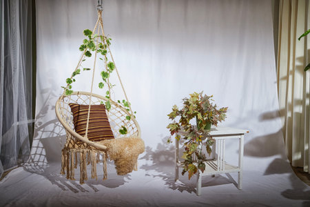 Modern cozy beautiful room with a braided rope macrame chair, green plants, small table and...