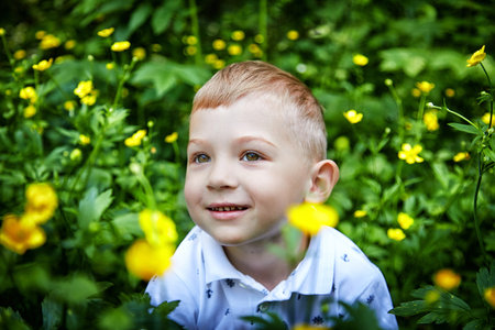 Joyful Young Boy Playing Amongst Yellow Flowers in a Garden. The concept of a happy childhood and...