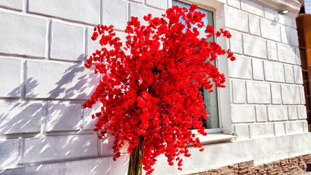 A large red flower bush growing against a white brick wall with windowの写真素材