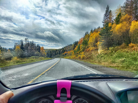 Car salon, windshield, hand on steering wheel and landscape in cloudy weather. View from driver on...