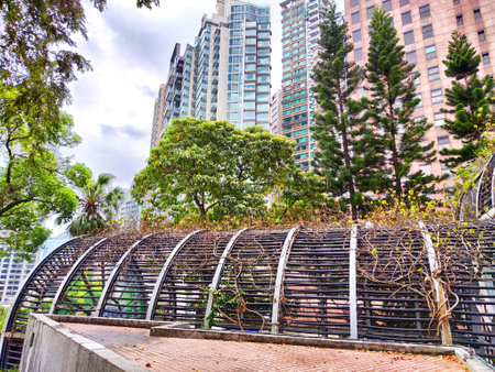 A view of towering skyscrapers in Hong Kong, partially obscured by lush green foliage, on cloudy dayの写真素材