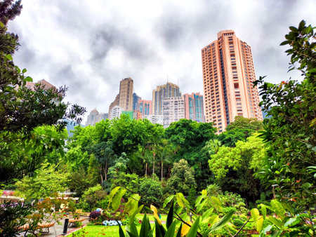 panoramic view of Hong Kong's iconic skyscrapers, partially obscured by lush greenery and a hazy skyの写真素材