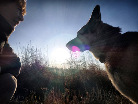 Adult girl or middle aged woman with shepherd dog in an autumn dayの写真素材