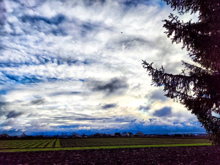 Lush green fields stretch under a dramatic sky filled with clouds, highlighted by a solitary tree nearby.の写真素材