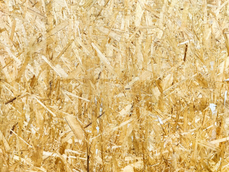 Close up of dry grass texture. Abstract background and texture for design.