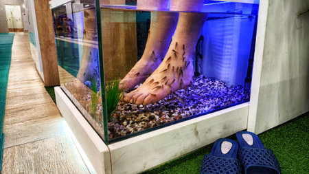 A person relaxes as small fish gently nibble on their feet during a fish spa treatment.の写真素材
