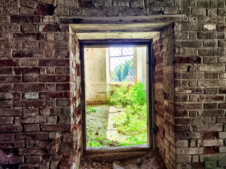 Sunlight streams through a broken window, illuminating vibrant green plants growing inside an...