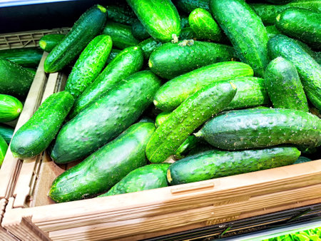 A variety of fresh cucumbers piled in a wooden crate, showing their vibrant green color.の写真素材