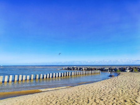 A dog stands on the beach, looking at the waves under a clear blue sky.の写真素材