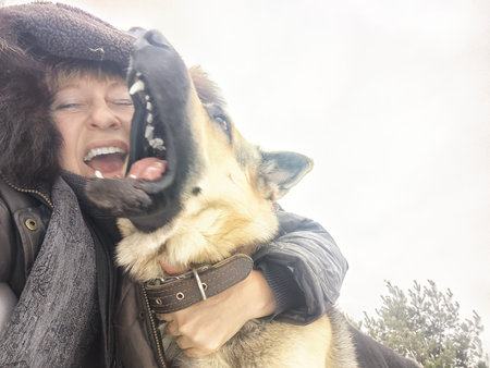 Portrait of Middle aged woman, adult girl, mature lady taking selfie and having fun with shepherd dog in winter nature landscape in cold dayの写真素材
