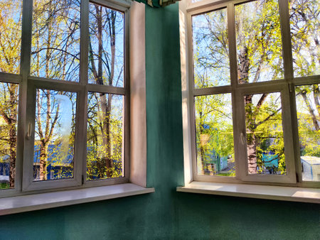 A green wall with a large window showing view of trees and blue sky