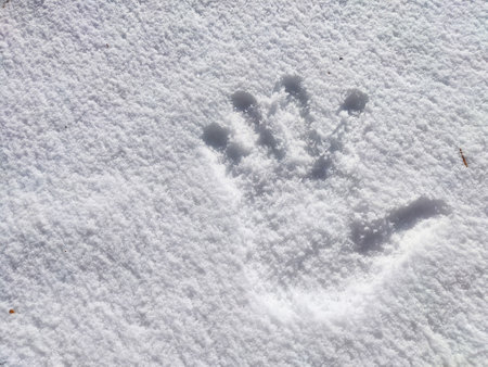 A handprint visible in pristine snow under sunlight.の写真素材