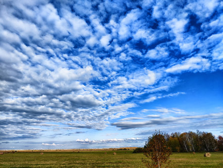 A large field scattered with round hay bales stretches beneath beautiful blue sky with white clouds, showcasing rural beauty in autumnの写真素材