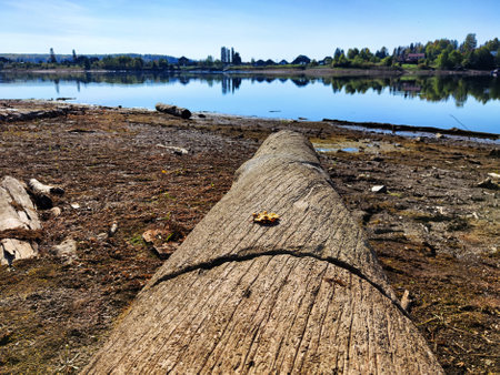A serene lake stretches out beneath a blue sky with scattered clouds, framed by a grassy hillside.の写真素材
