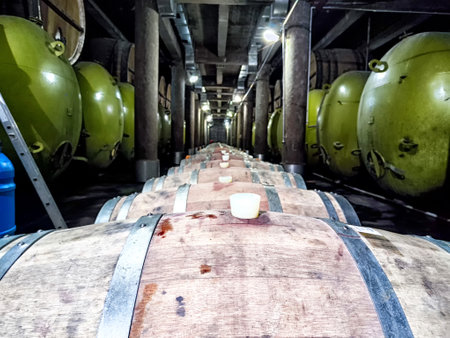 Inside the wine cellar at Kindzmarauli Winery, showcasing a row of oak barrels and green...