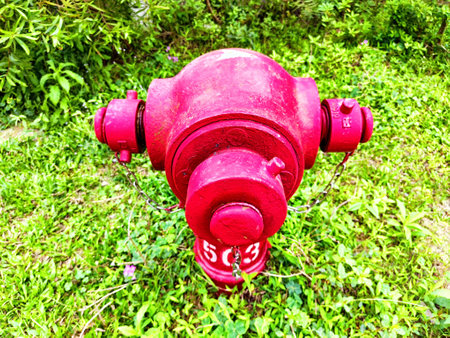 A vibrant fire hydrant stands amidst tall grass and plants along a concrete surface, showing urban infrastructure.の写真素材