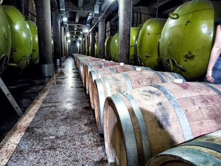 Inside the wine cellar at Kindzmarauli Winery, showcasing a row of oak barrels and green fermentation tanks in a dimly lit environment.の写真素材