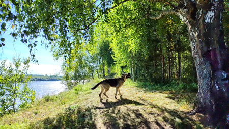 The picturesque river flows gently, surrounded by lush greenery and bathed in sunlight, evoking a...