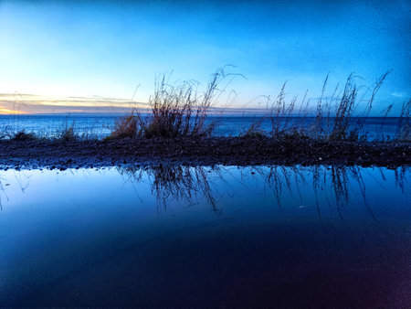 The calm shoreline showcases water reflecting grass and sky as the sun sets, creating a serene evening atmosphere.の写真素材