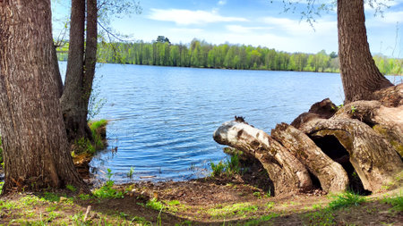 A serene lake bordered by trees reflects a clear sky on a bright spring dayの写真素材