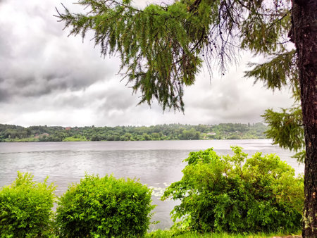 A peaceful lakeside area showcasing calm waters and vibrant greenery under an overcast sky.の写真素材