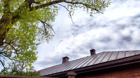 A rustic house with a metal roof sits beneath a vibrant tree on a cloudy spring day.